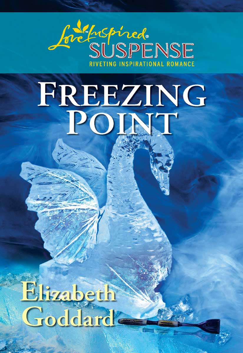 Freezing Point (2011) by Elizabeth Goddard