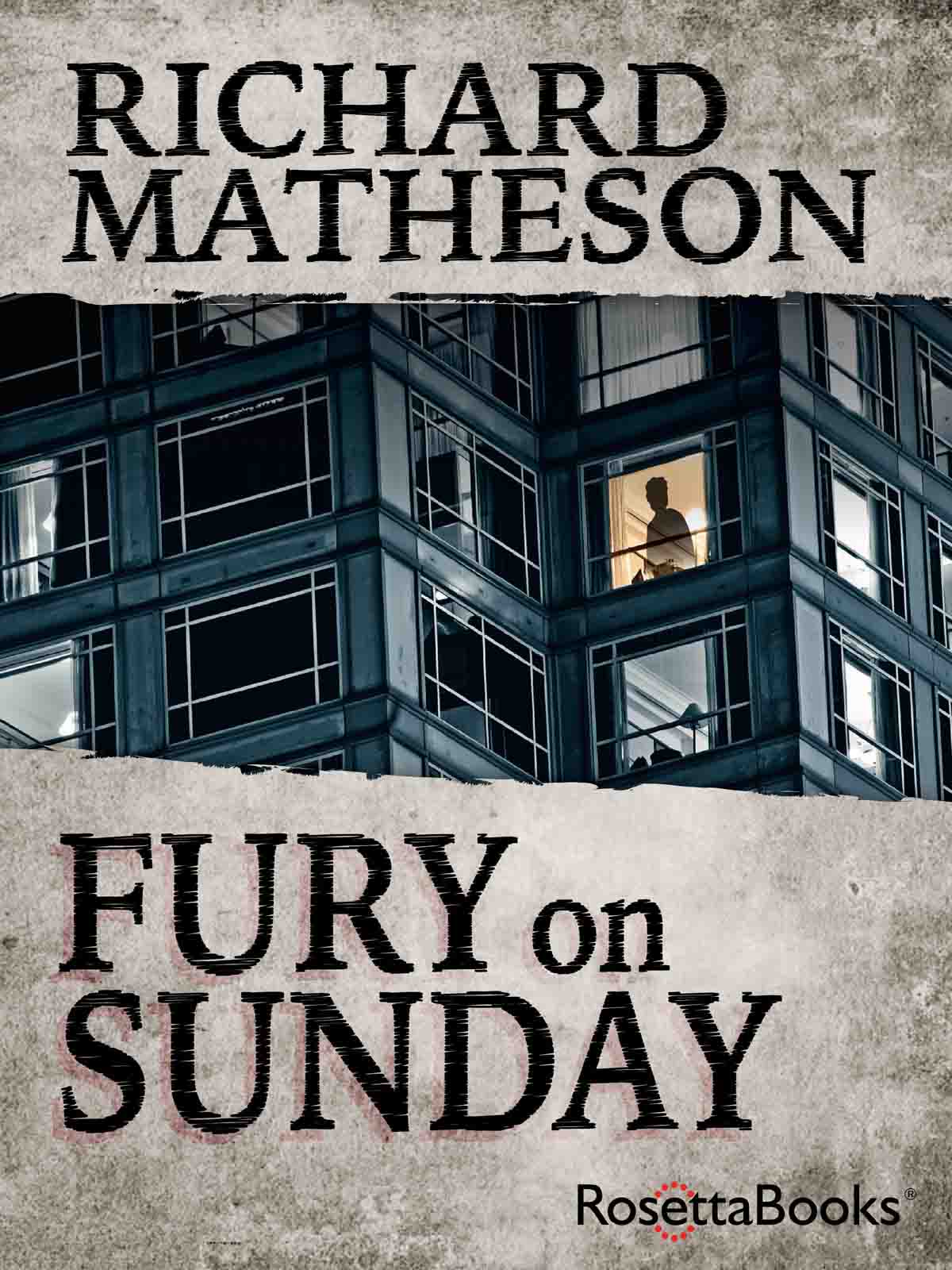 Fury on Sunday (2014)