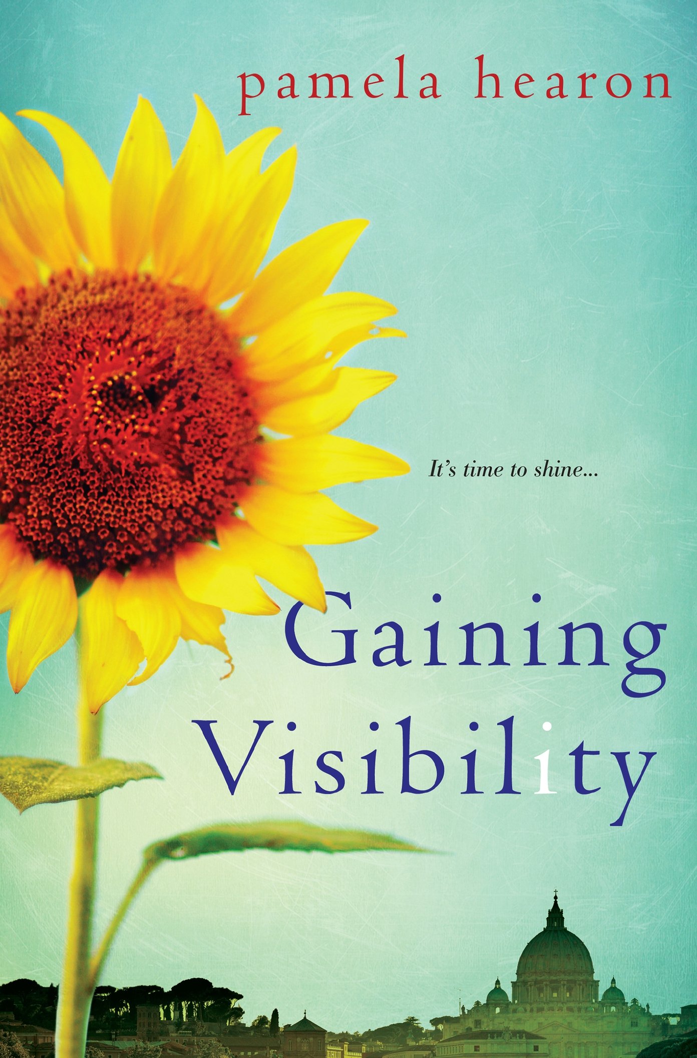 Gaining Visibility (2016)