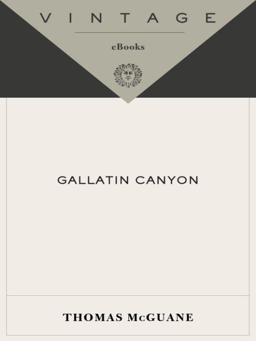 Gallatin Canyon by Mcguane, Thomas