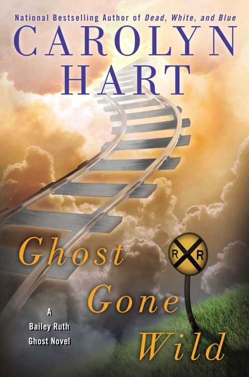 Ghost Gone Wild (A Bailey Ruth Ghost Novel)