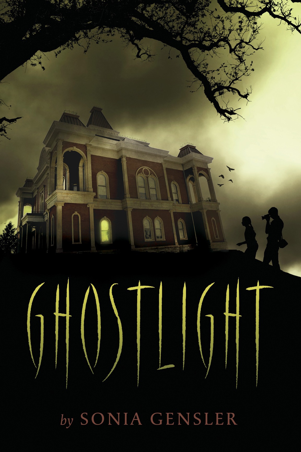 Ghostlight (2015) by Sonia Gensler