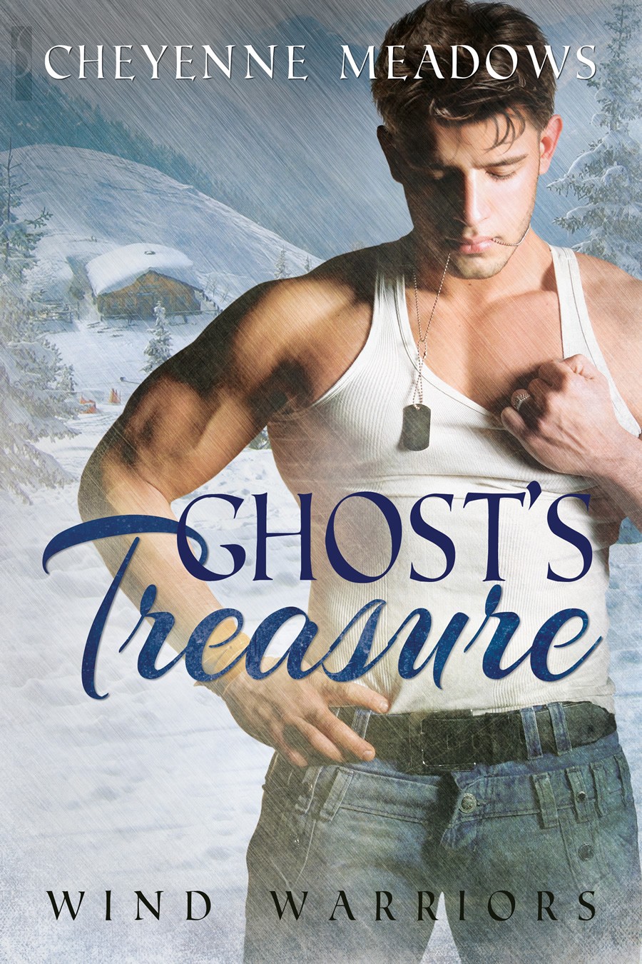 Ghost's Treasure (2013) by Cheyenne Meadows