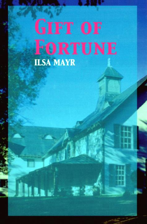 Gift of Fortune by Ilsa Mayr