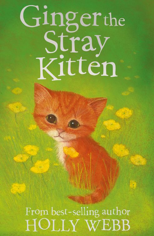 Ginger the Stray Kitten (2012) by Holly Webb