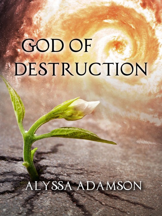 God of Destruction by Alyssa Adamson