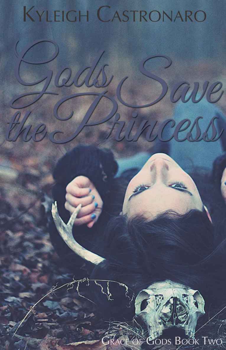 Gods Save the Princess (Grace of Gods Book 2)