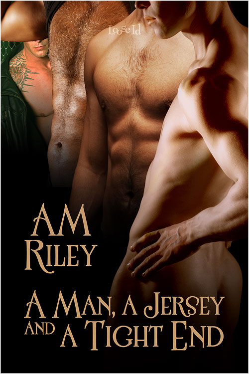 Goldilocks: A Man, a Jersey, and a Tight End (2011) by A. M. Riley