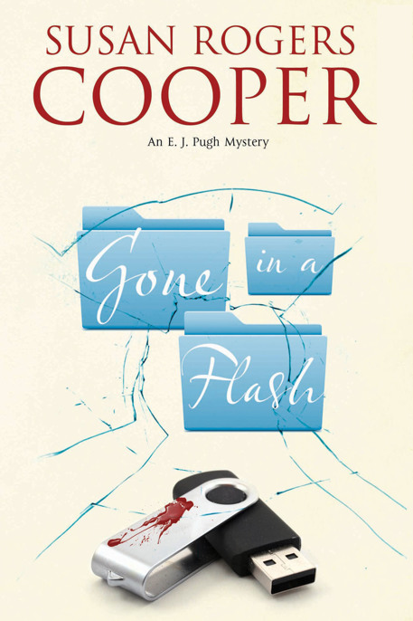 Gone in a Flash by Susan Rogers Cooper