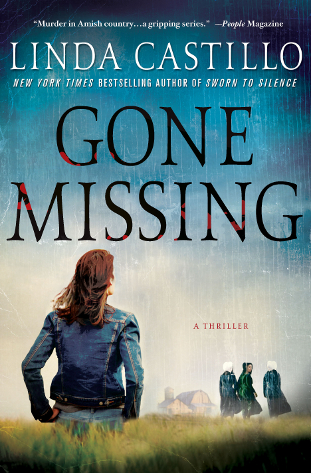 Gone Missing (Kate Burkholder 4) by Castillo, Linda