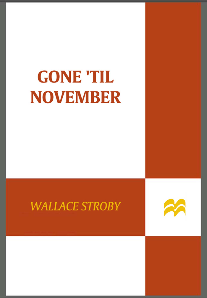 Gone ’Til November by Wallace Stroby