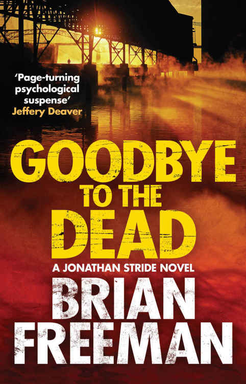 Goodbye to the Dead (Jonathan Stride Book 7) by Brian Freeman