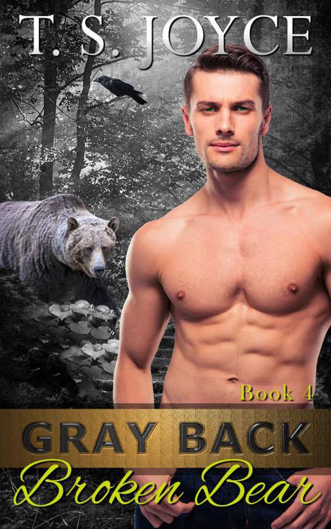 Gray Back Broken Bear (Gray Back Bears Book 4) by T. S. Joyce