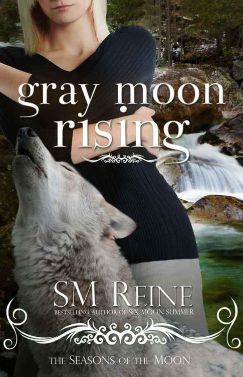 Gray Moon Rising: Seasons of the Moon