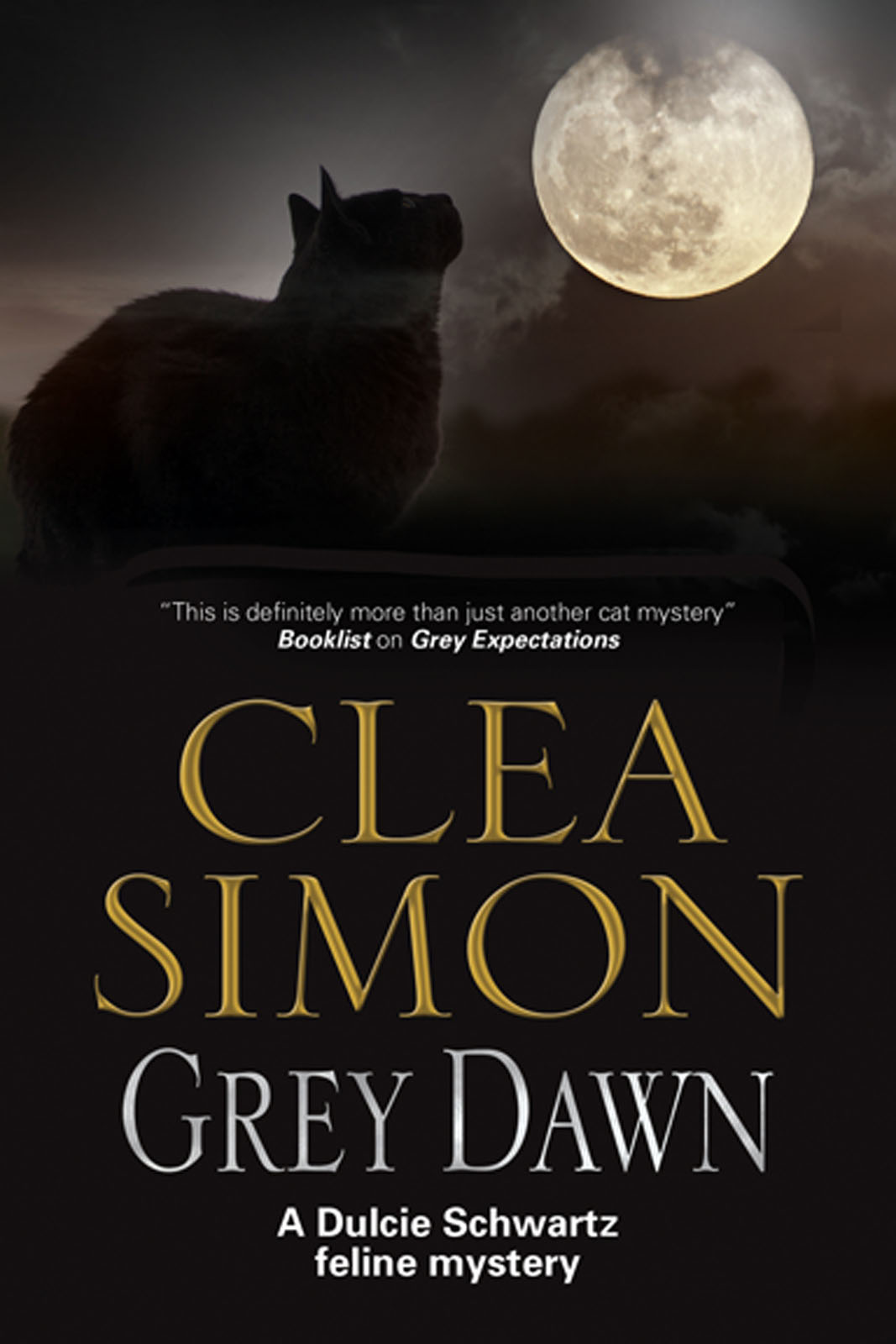 Grey Dawn by Clea Simon