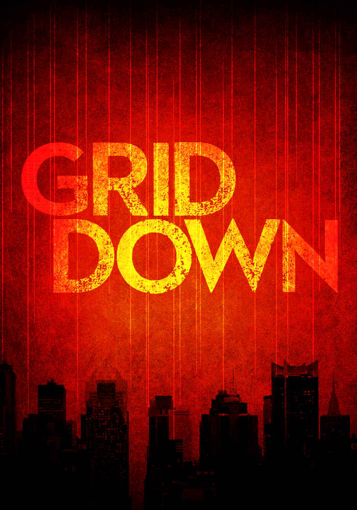 Grid Down: A Strike against America - An EMP Survival Story- Book Two by Roger Hayden