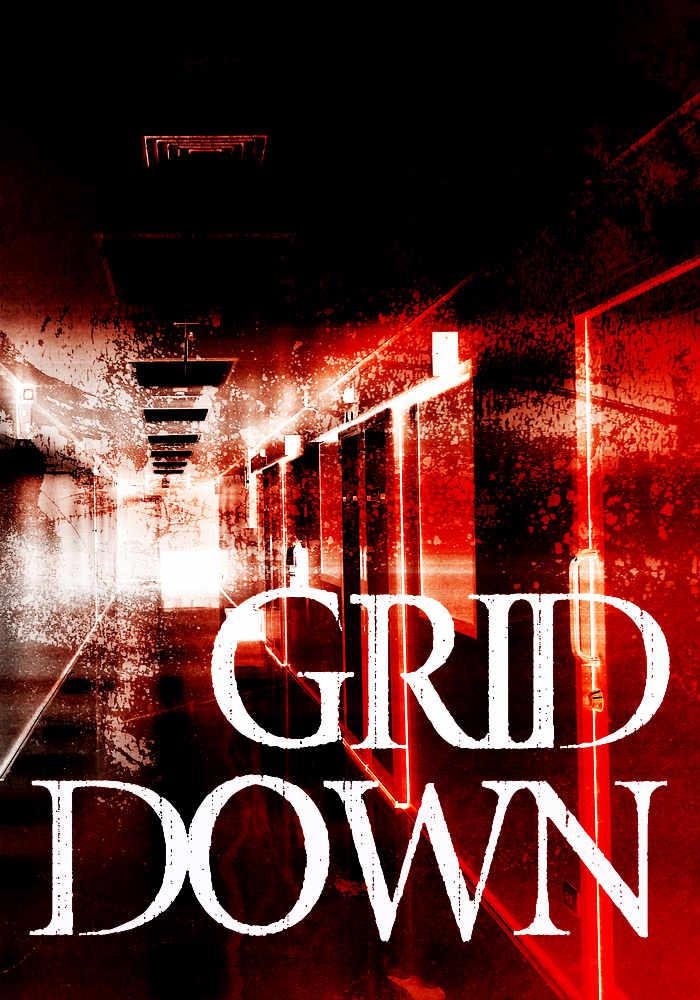 Grid Down: A Strike against America – An EMP Survival Story- Book One