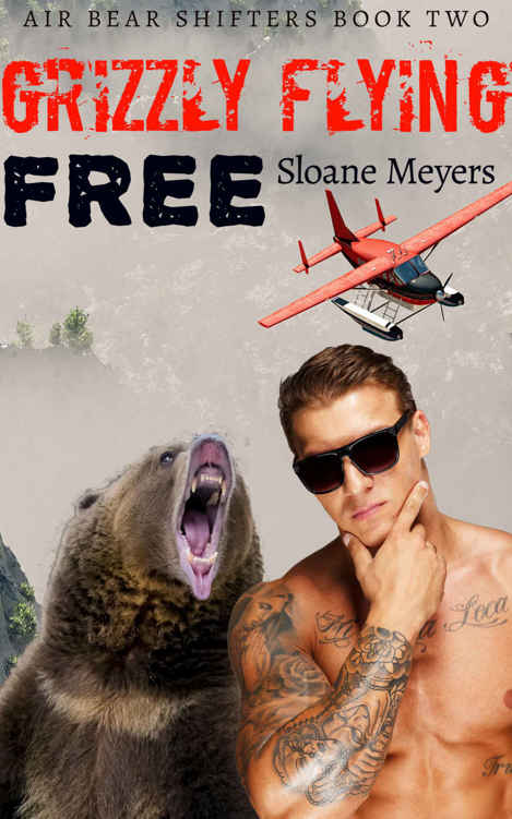 Grizzly Flying Free (Air Bear Shifters Book 2)