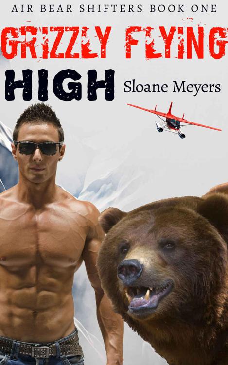 Grizzly Flying High (Air Bear Shifters 1) by Sloane Meyers