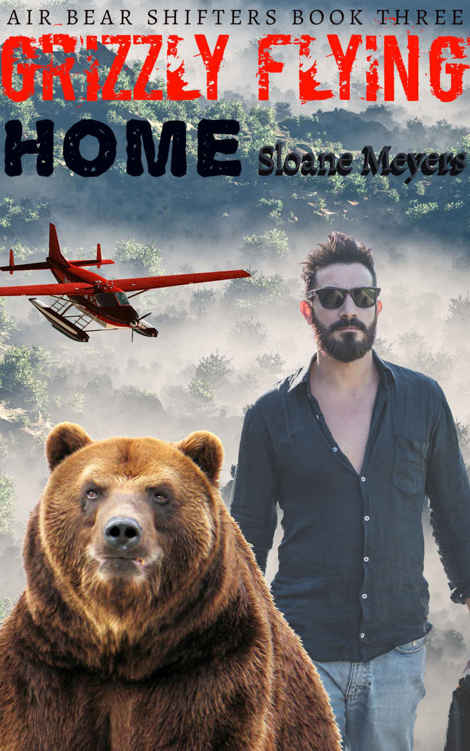 Grizzly Flying Home by Sloane Meyers