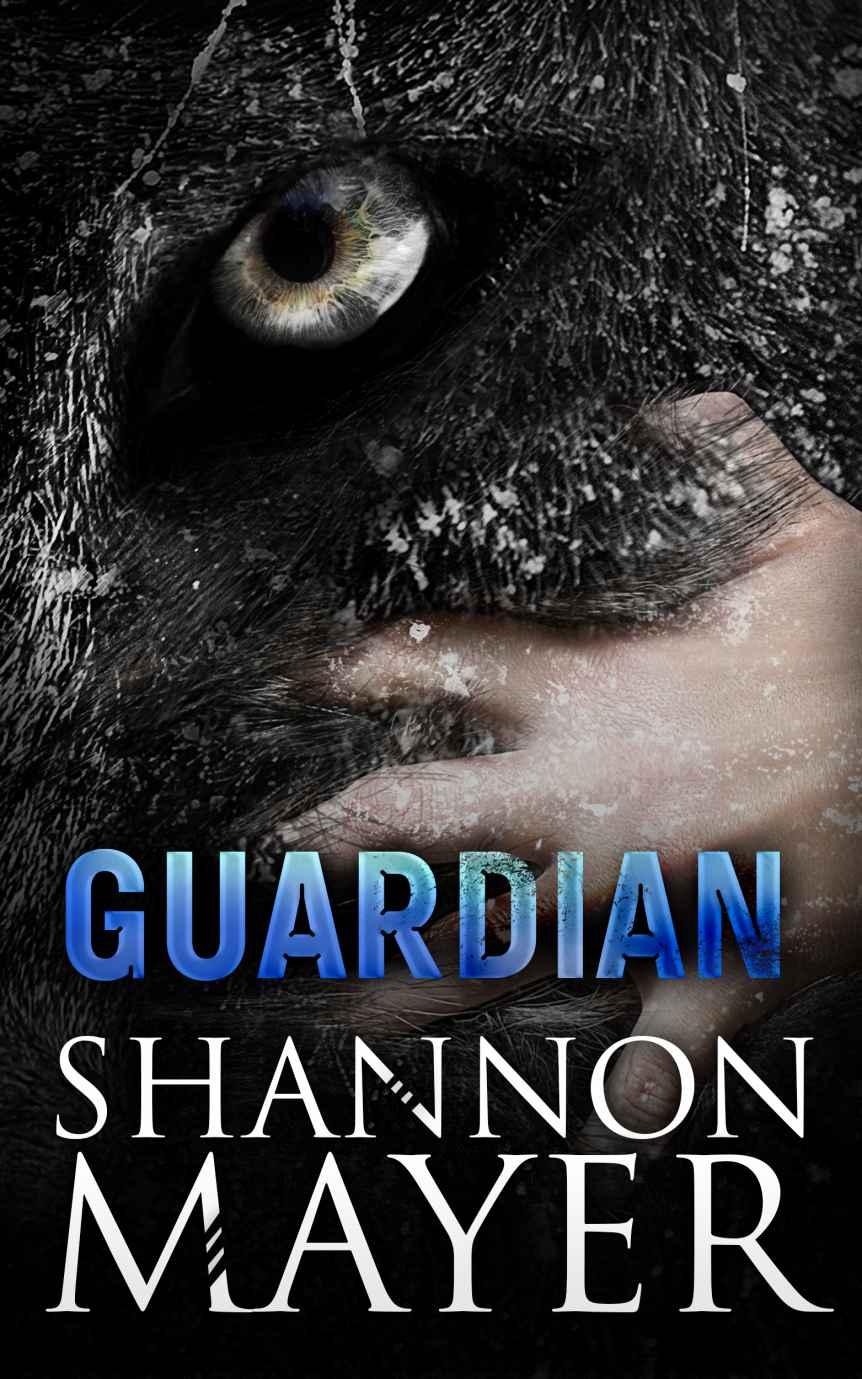 Guardian by Mayer, Shannon