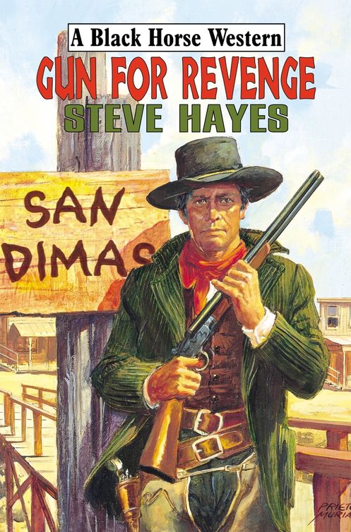 Gun for Revenge (2011) by Steve Hayes