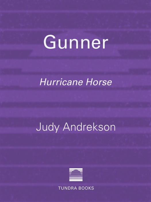 Gunner (2010) by Judy Andrekson