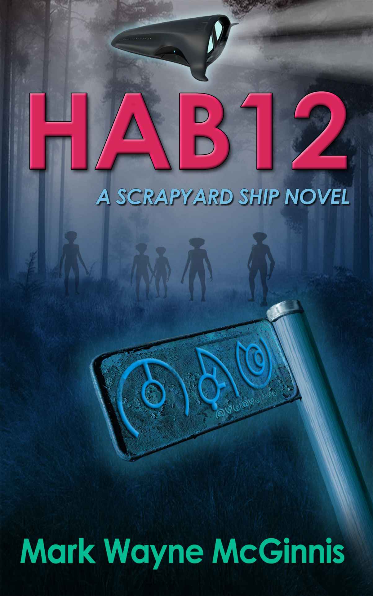 HAB 12 (Scrapyard Ship)