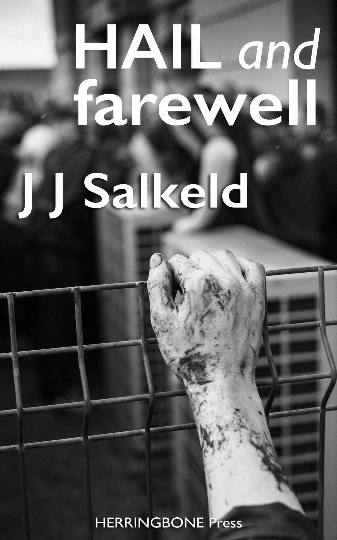 Hail and Farewell (The Lakeland Murders)