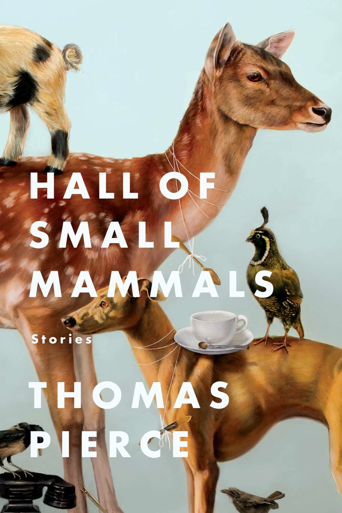 Hall of Small Mammals (2014) by Thomas Pierce