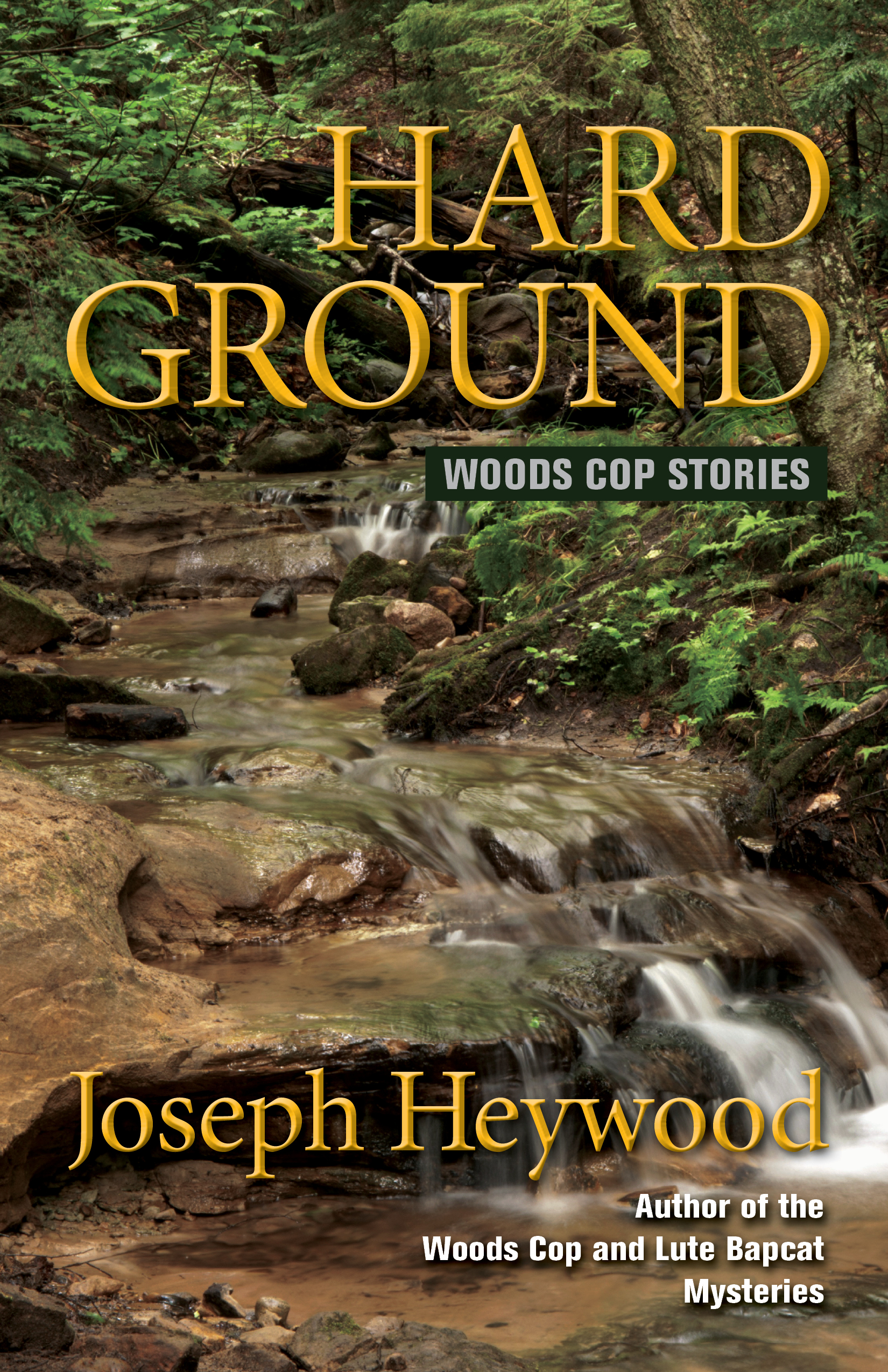 Hard Ground (2013) by Joseph Heywood