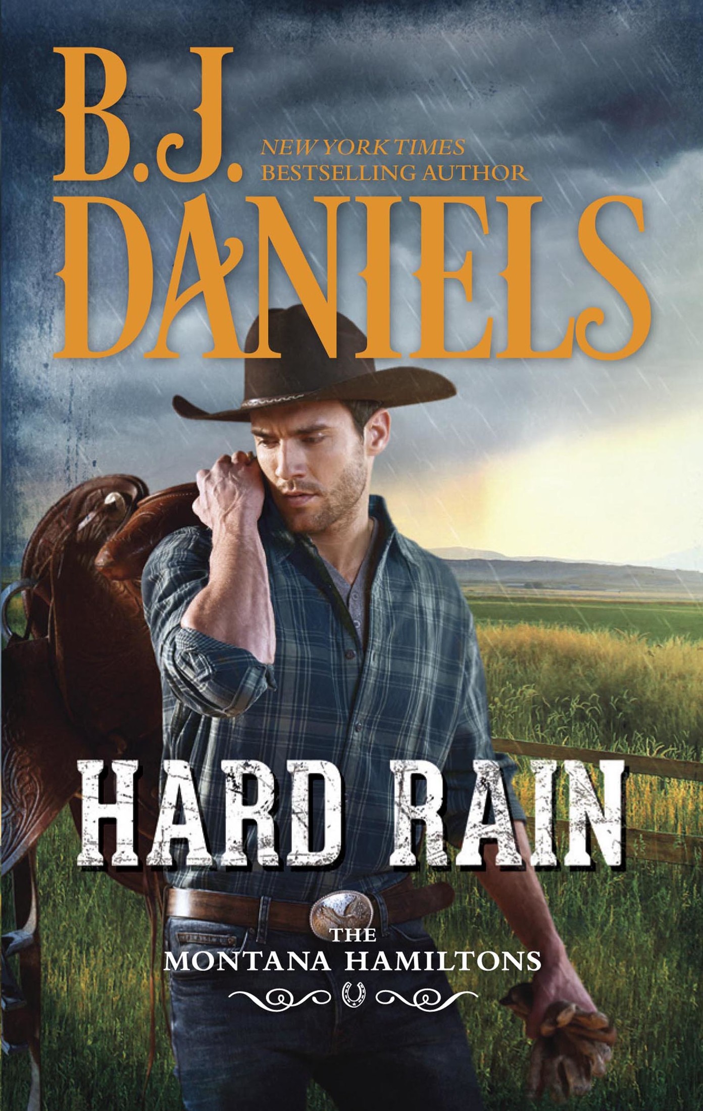 Hard Rain by B. J. Daniels