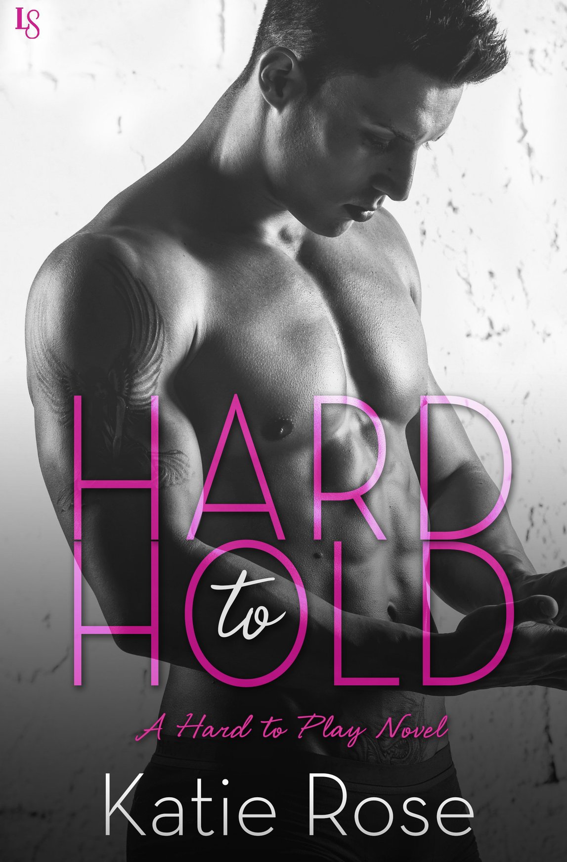 Hard to Hold (2016) by Katie Rose