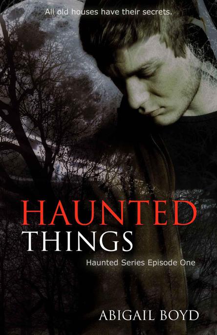 Haunted Things by Boyd, Abigail