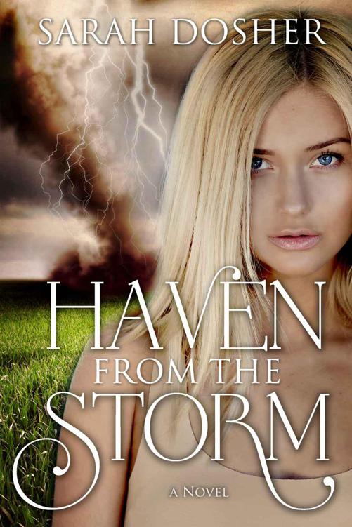 Haven from the Storm (Storms of Life #1)