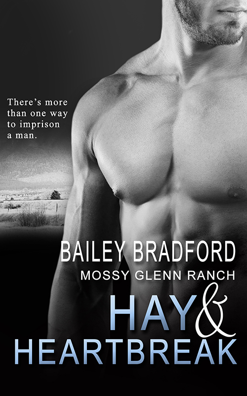 Hay and Heartbreak (2015) by Bailey Bradford