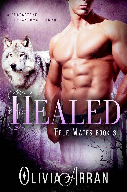 Healed: True Mates Book 3 (Wolf Shifter) (A Craggstone Paranormal Romance)