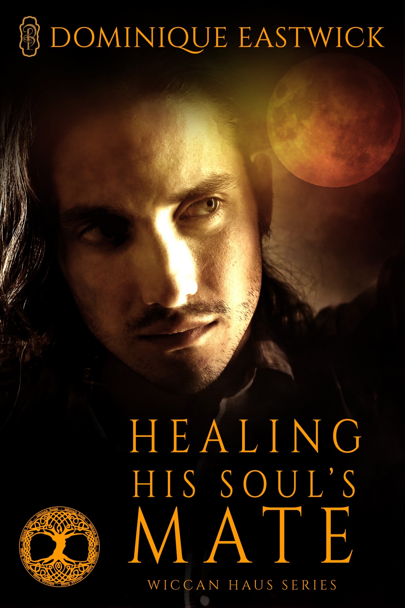 Healing His Soul's Mate by Dominique Eastwick