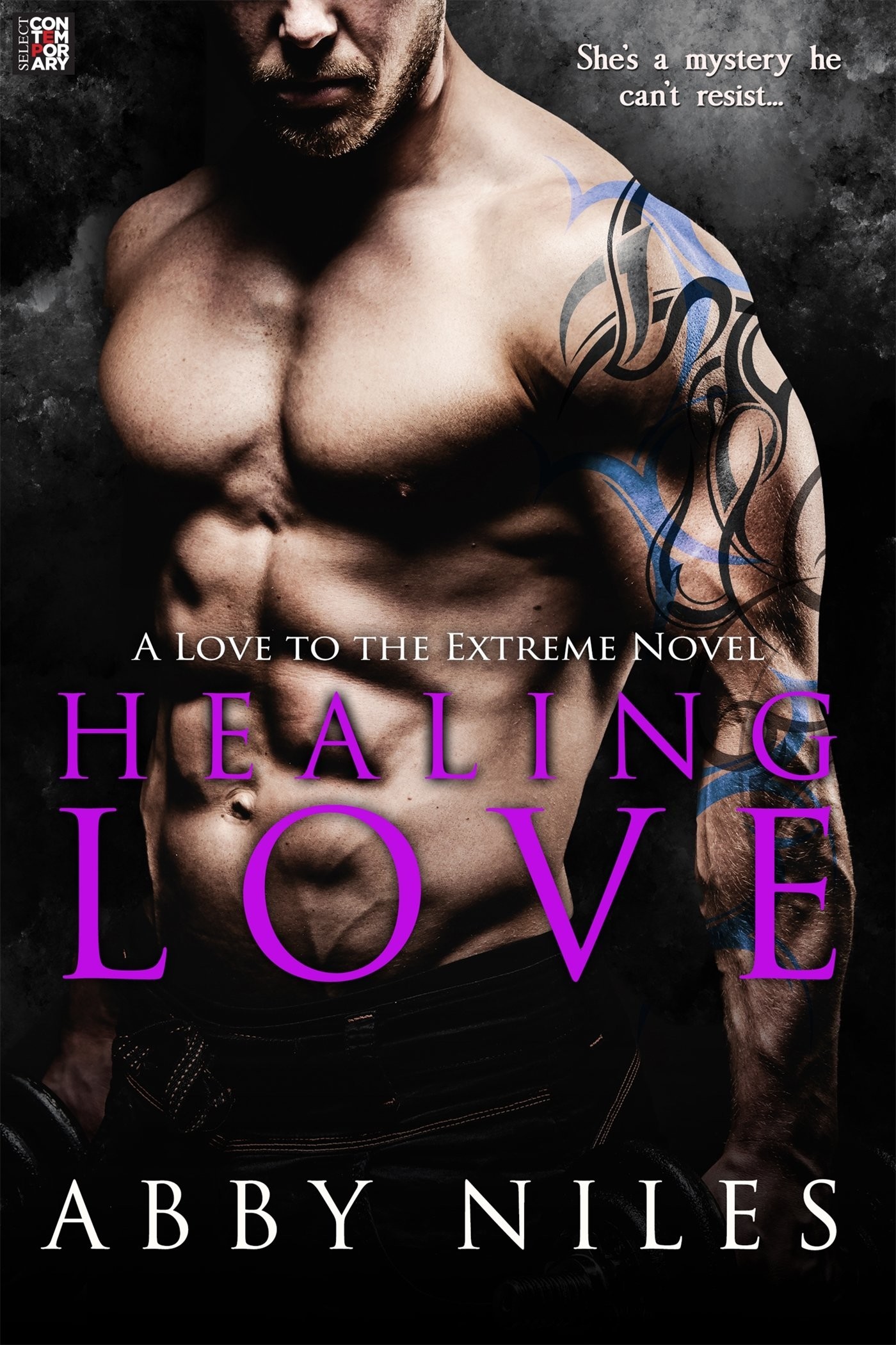 Healing Love (Love to the Extreme) by Abby Niles