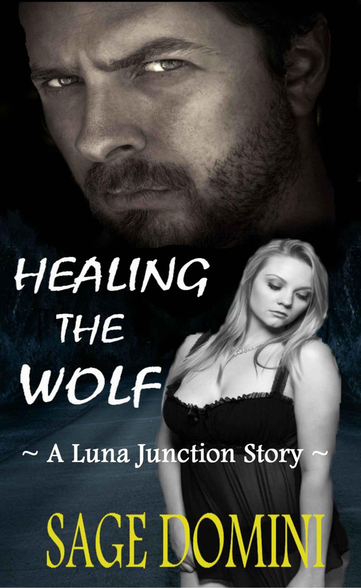 Healing the Wolf (BBW Paranormal Romance) (Luna Junction)