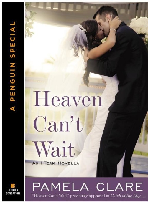 Heaven Can't Wait by Pamela Clare