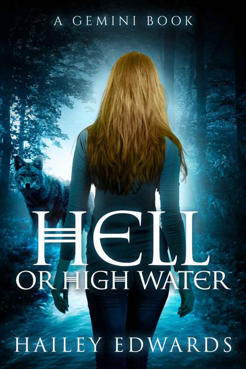 Hell or High Water (Gemini Book 3)
