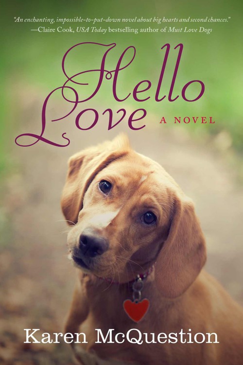 Hello Love by McQuestion, Karen