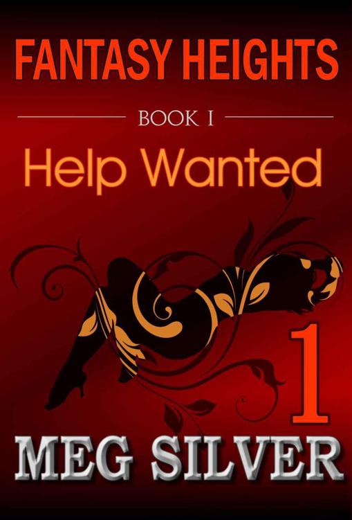 Help Wanted by Meg Silver