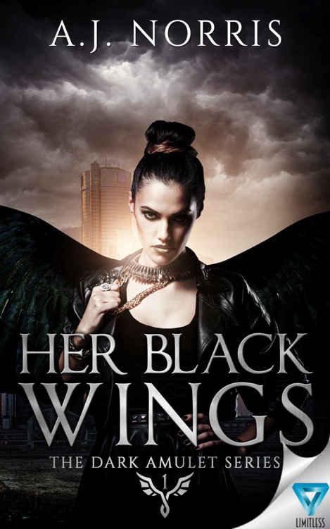 Her Black Wings (The Dark Amulet Series Book 1) by A.J. Norris