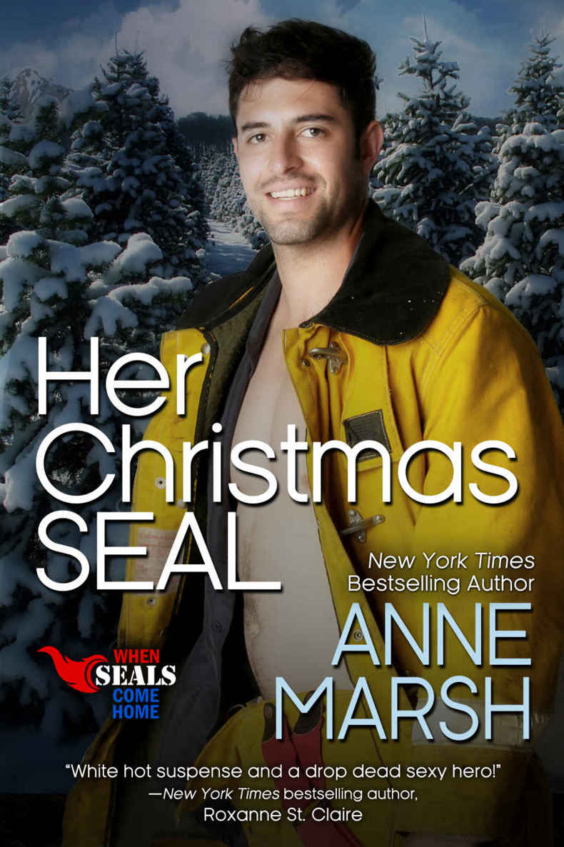 Her Christmas SEAL (When SEALs Come Home Book 7)