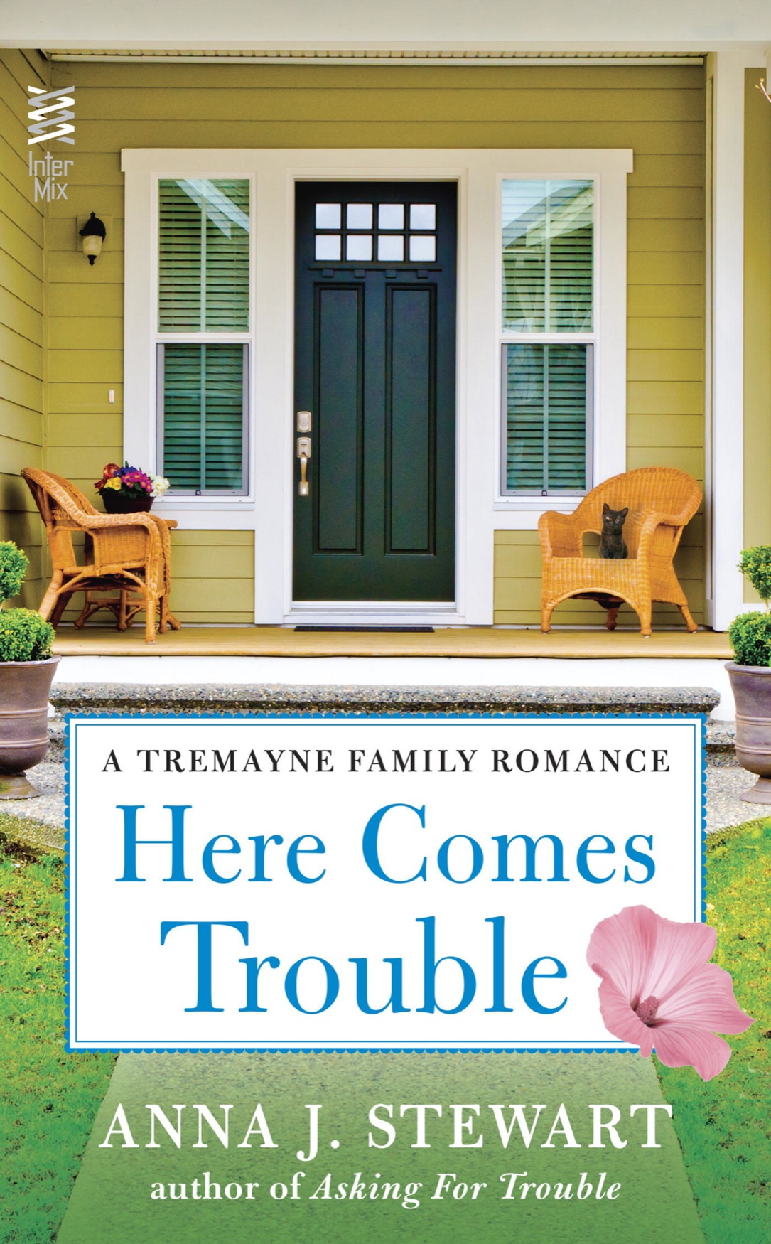 Here Comes Trouble by Anna J. Stewart