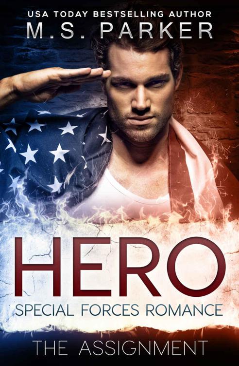 Hero - The Assignment: A Military Romance