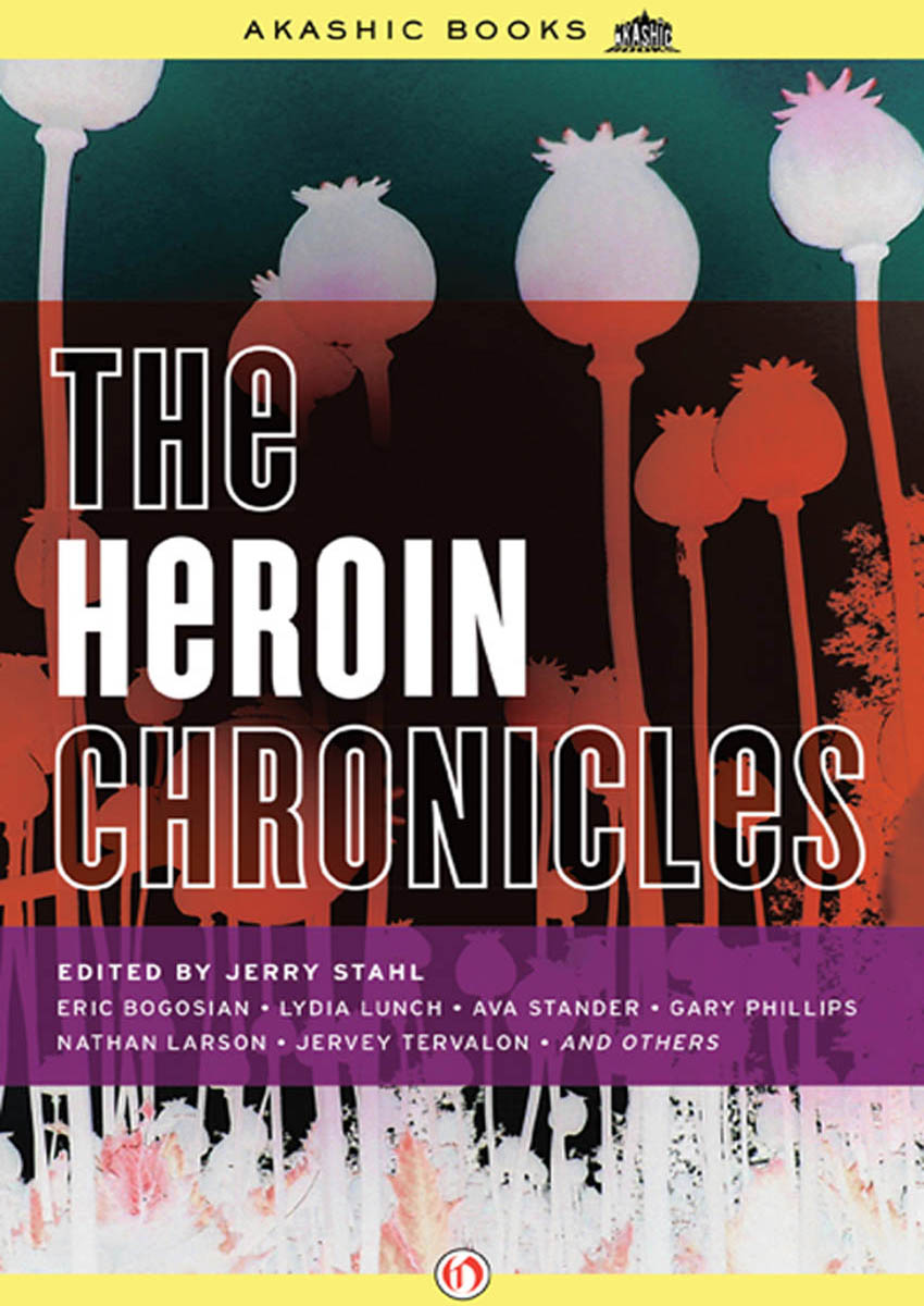 Heroin Chronicles by Jerry Stahl