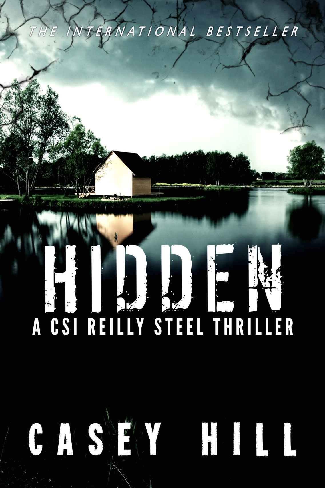 Hidden ( CSI Reilly Steel #3) by HILL, CASEY